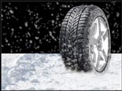 SP Winter Sport 4D_2