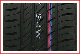 Raptis WR1_протектор 