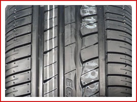 Ecsta HM KH31_протектор