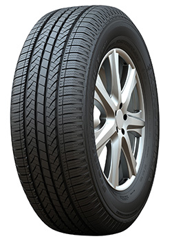 Practial Max H/T RS21