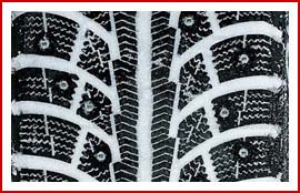 Nord Frost 5_протектор