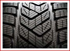 Scorpion Winter_протектор