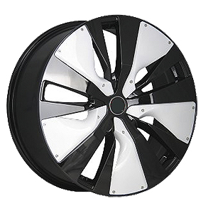 INF501 Black + White