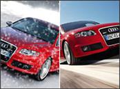 SP Winter Sport 3D_4