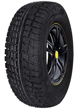 Vettore Inverno V-524