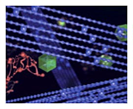 Pilot Sport PS3_4 Pilot Sport PS3_4